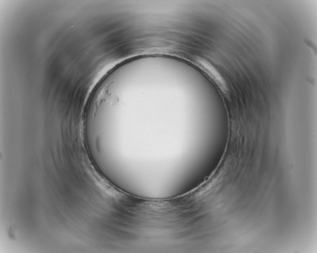 X0000095891340200802011058