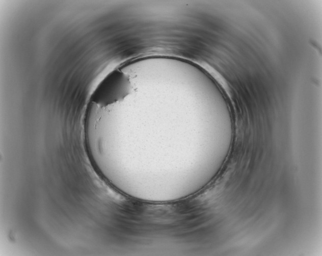 X0000095891341200802011058