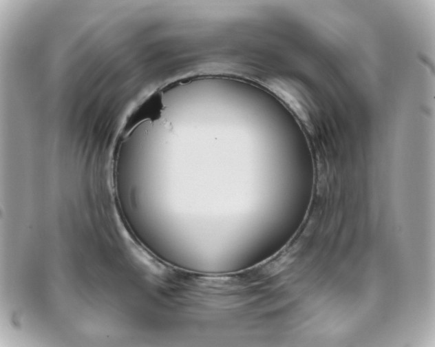 X0000095891342200802011058