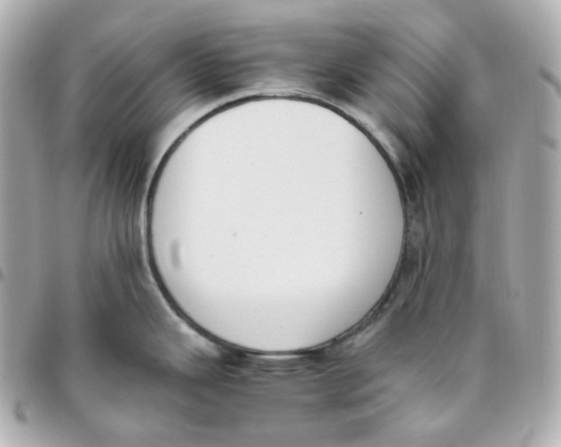 X0000095891343200802011058