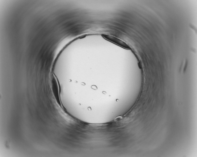 X0000095891344200802011058