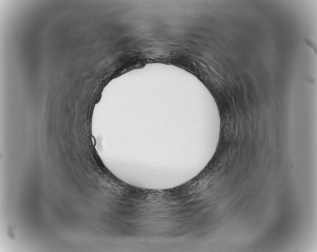 X0000095891345200802011058