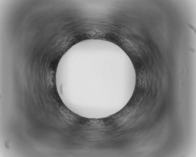 X0000095891346200802011058