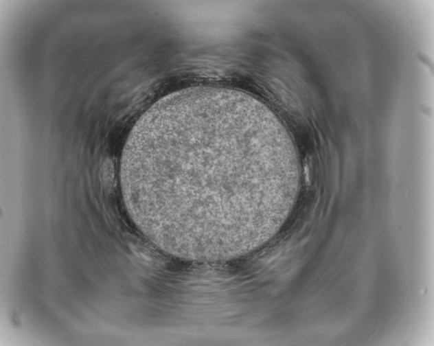 X0000095891347200802011058