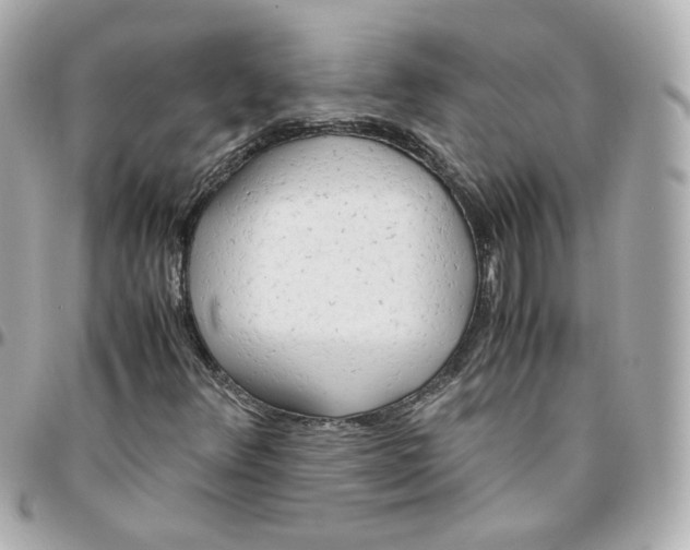 X0000095891348200802011058