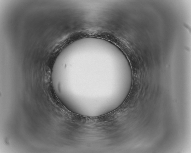 X0000095891349200802011058