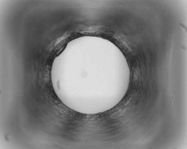 X0000095891350200802011058