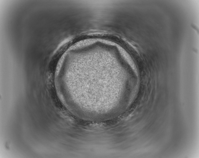 X0000095891351200802011058