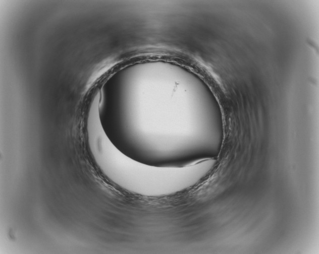 X0000095891352200802011058