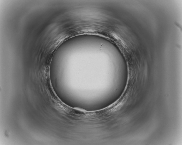 X0000095891353200802011058