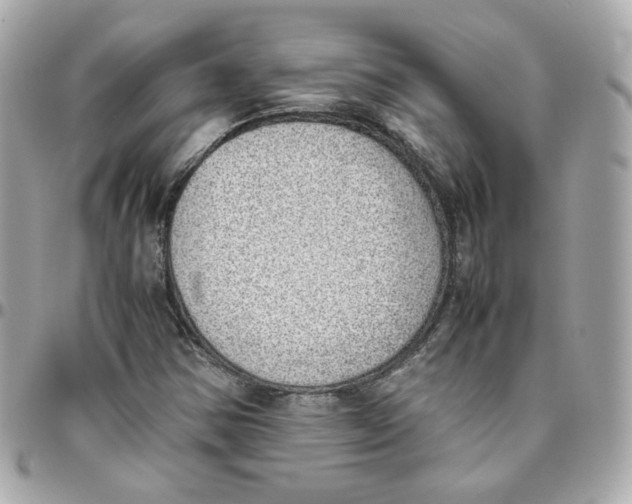 X0000095891354200802011058