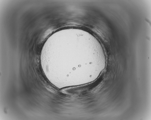 X0000095891355200802011058