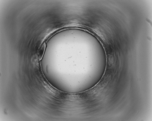 X0000095891356200802011058