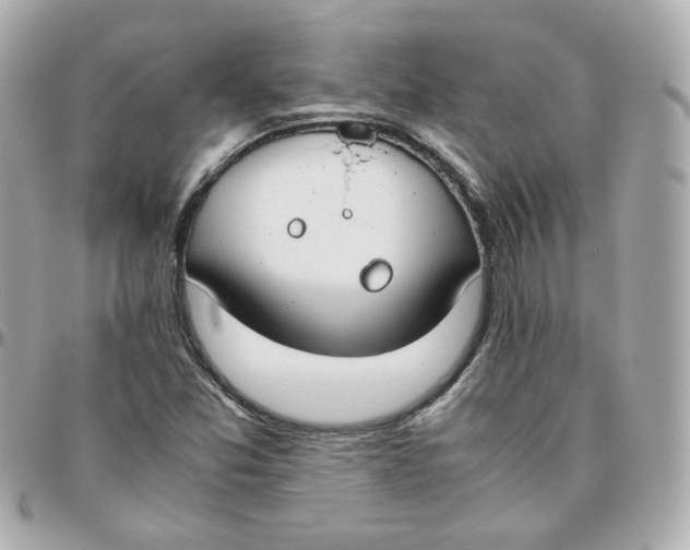 X0000095891357200802011058