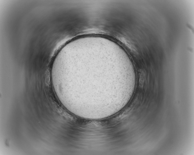 X0000095891358200802011058