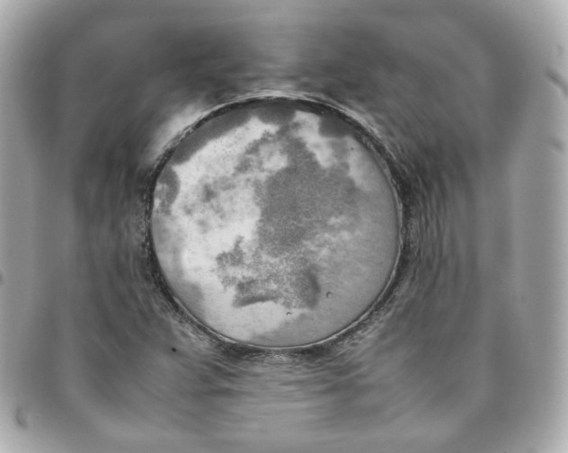 X0000095891359200802011058