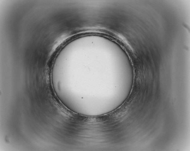 X0000095891360200802011058