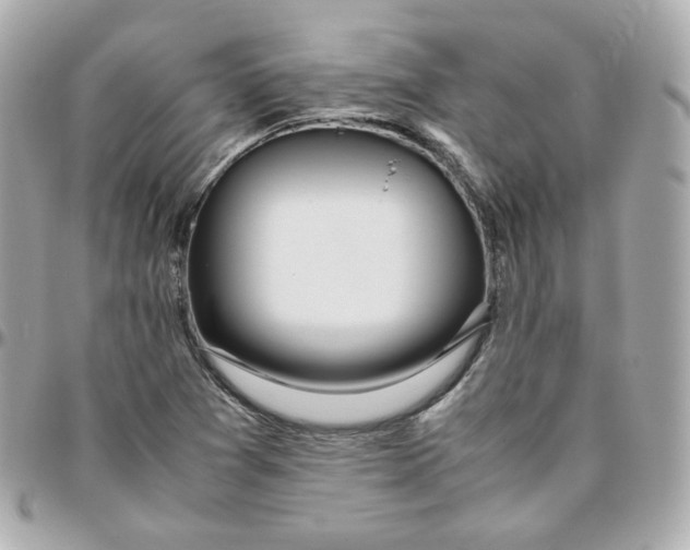 X0000095891361200802011058