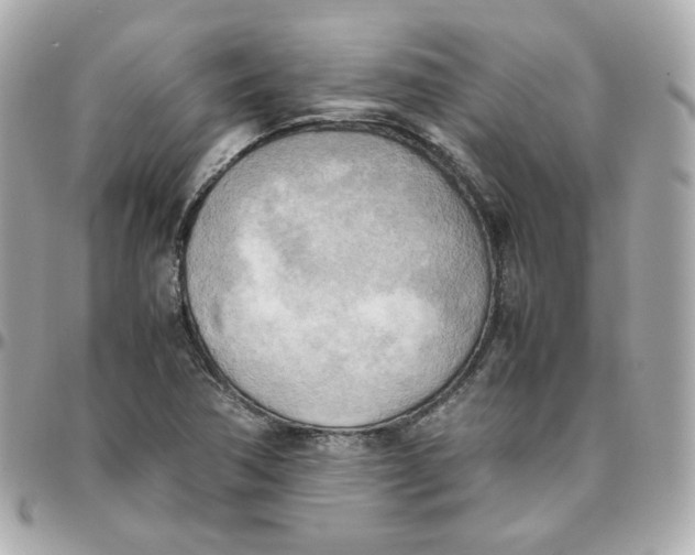 X0000095891362200802011058