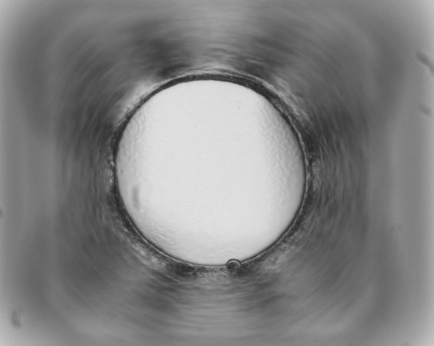 X0000095891363200802011058