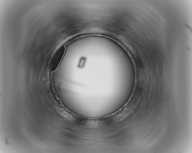 X0000095891364200802011058