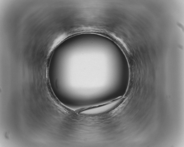 X0000095891365200802011058