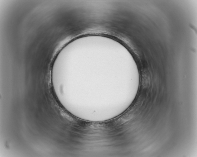 X0000095891366200802011057