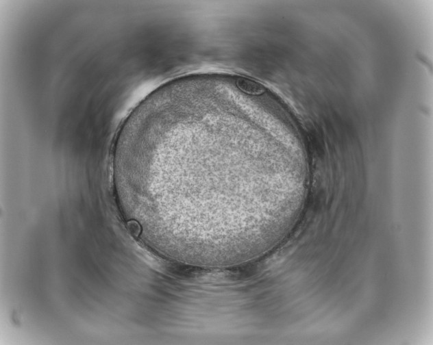 X0000095891367200802011057