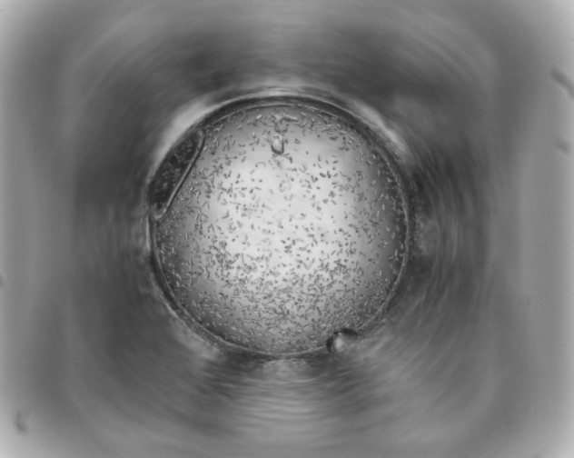 X0000095891368200802011057