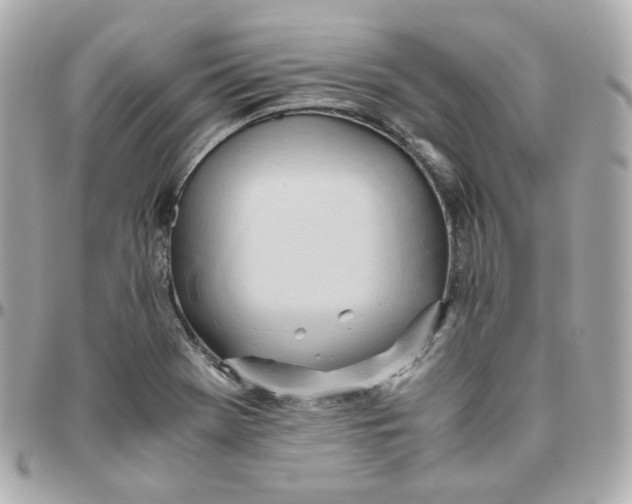 X0000095891369200802011057