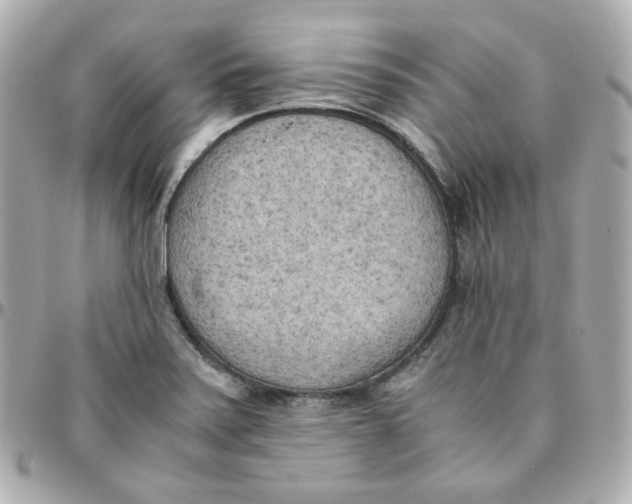 X0000095891371200802011057