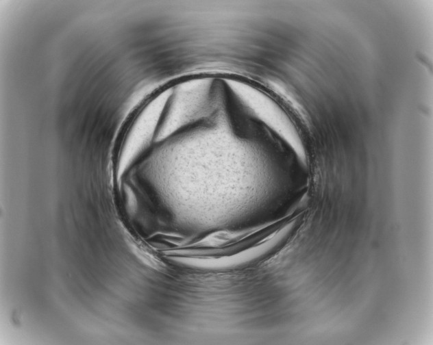 X0000095891372200802011057