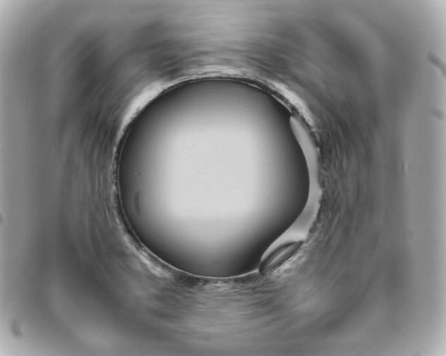 X0000095891373200802011057