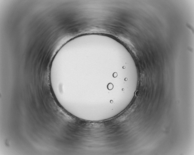 X0000095891374200802011057