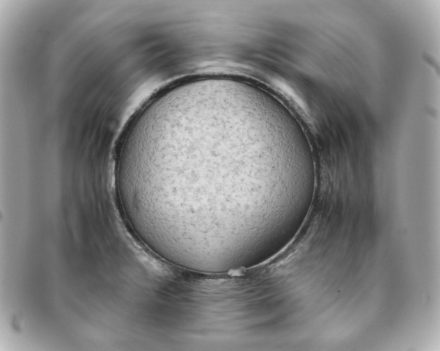 X0000095891376200802011057