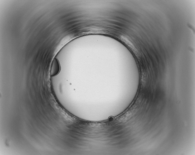 X0000095891378200802011057