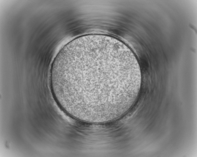 X0000095891379200802011057