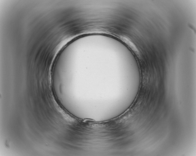 X0000095891380200802011057