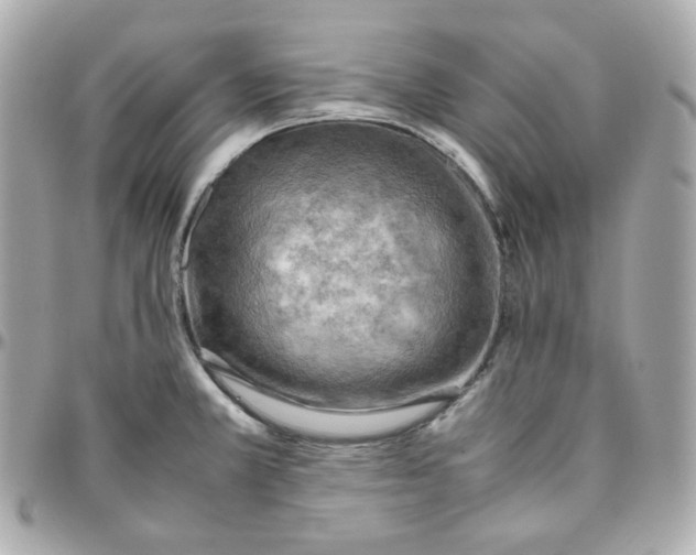 X0000095891381200802011057