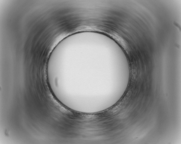 X0000095891382200802011057