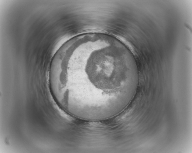 X0000095891383200802011057