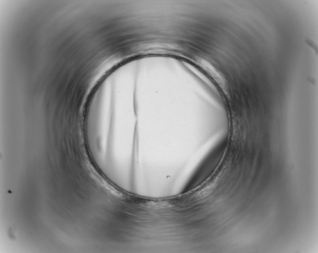 X0000095891384200802011057