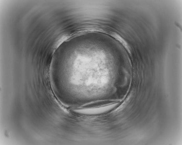 X0000095891385200802011057