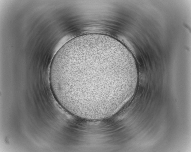 X0000095891386200802011057