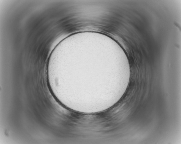 X0000095891387200802011057