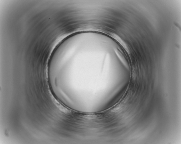 X0000095891388200802011057