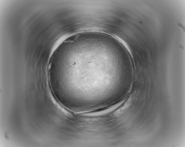 X0000095891389200802011057