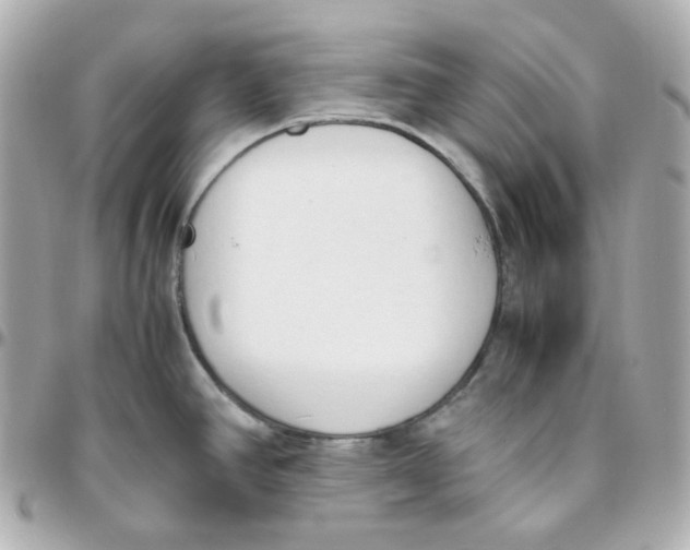 X0000095891390200802011057