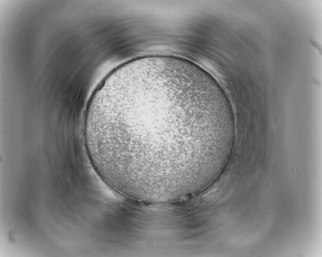 X0000095891392200802011057