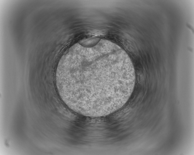 X0000095891393200802011056